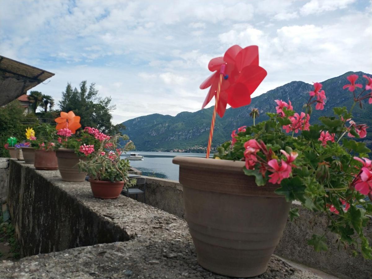 Apartment A Lago, Private Beach And Parking Oliveto Lario Exterior foto